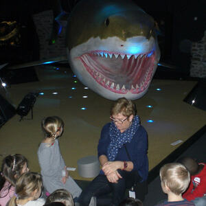 Besuch im Schlossmuseum