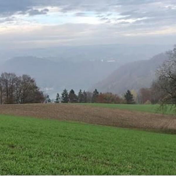 © Pfarre EferdingerLand