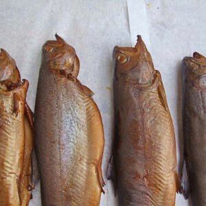Wein und Fisch